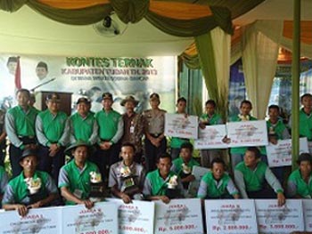 Kontes Ternak Kabupaten Tuban 1
