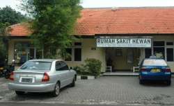SUDAH BANYAK JASA PENITIPAN HEWAN PELIHARAAN SELAMA MUDIK LEBARAN 2