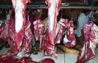 JANGAN LANGSUNG TERGIUR DENGAN HARGA DAGING MURAH