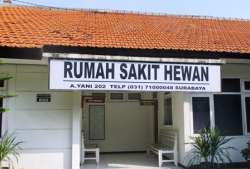 rsh jatim