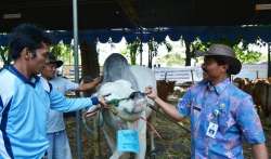 qurban 2014