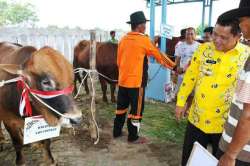 kontes kota pasuruan 2016