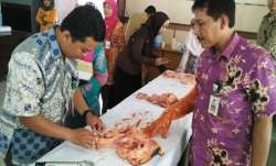 workshop ib