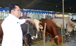 bazar qurban 2016