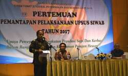 upsus siwab