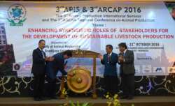 Seminar APIS - Fapet UB
