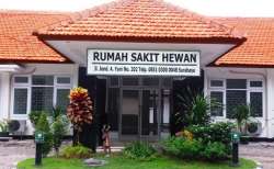 penitipan hewan mudik 2017