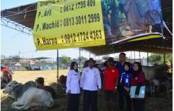 pemeriksaan qurban 2017