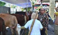BAZAR 2017 EDUKASI