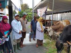 BAZAR TERNAK QURBAN TAHUN 2018