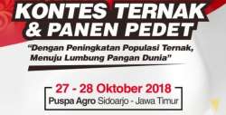 KONTES TERNAK SDA