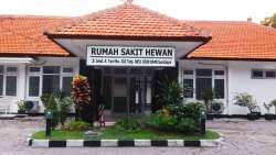 RUMAH SAKIT HEWAN  DINAS PETERNAKAN PROVINSI JAWA TIMUR MENERIMA TITIP HEWAN KESAYANGAN SAAT MUDIK LEBARAN 2019