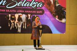 kepala dinas