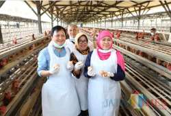Gubernur Khofifah Imbau Masyarakat Tak Perlu Cemas Konsumsi Telur Jatim Karena Diproduksi Dengan Pola Good Farming Pratices