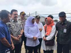 GUBERNUR JAWA TIMUR KHOFIFAH INDAR PARAWANSA BUTUH 30 RIBU EKOR SAPI GUNA SWASEMBADA SUSU
