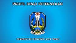 PROFIL DISNAK JATIM