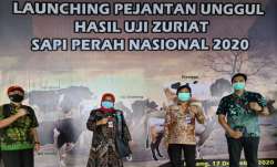 uji zuriat 1