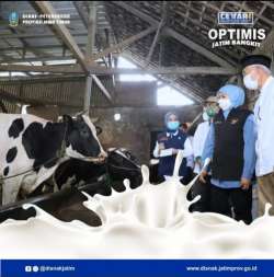 produksi susu 2021