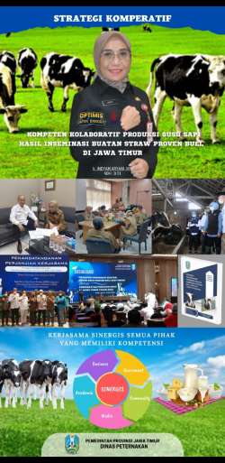 strategi