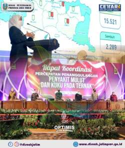 percepatan pmk