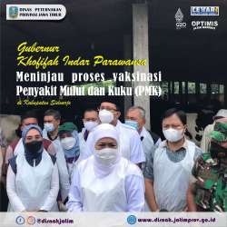 vaksinasi pmk sidoarjo cover