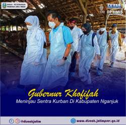 tinjau hewan kurban nganjuk cover