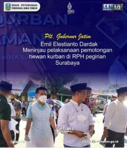 plt gub di RPH pegirian