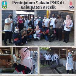 vaksin gresik tahap i