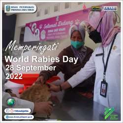 wrd 33