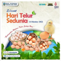 hari telur