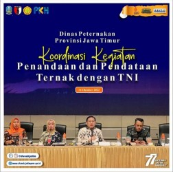 vasa penandaan pmk