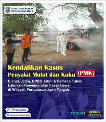 penyemprotan PMK