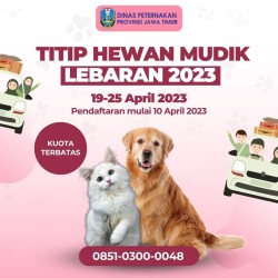 penitipan peliharaan 2023