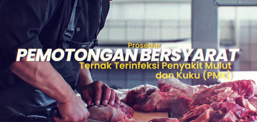 PROSEDUR PEMOTONGAN BERSYARAT TERNAK TERINVEKSI PMK