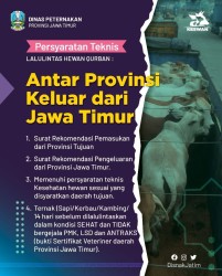 lalin hewan kurban 2023