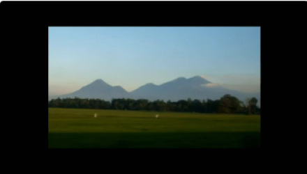 domba sapudi di UPT JEMBER