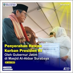 penyerahan hewan kurban