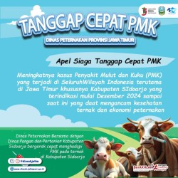 Apel Siaga Tanggap Cepat PMK di Sidoarjo