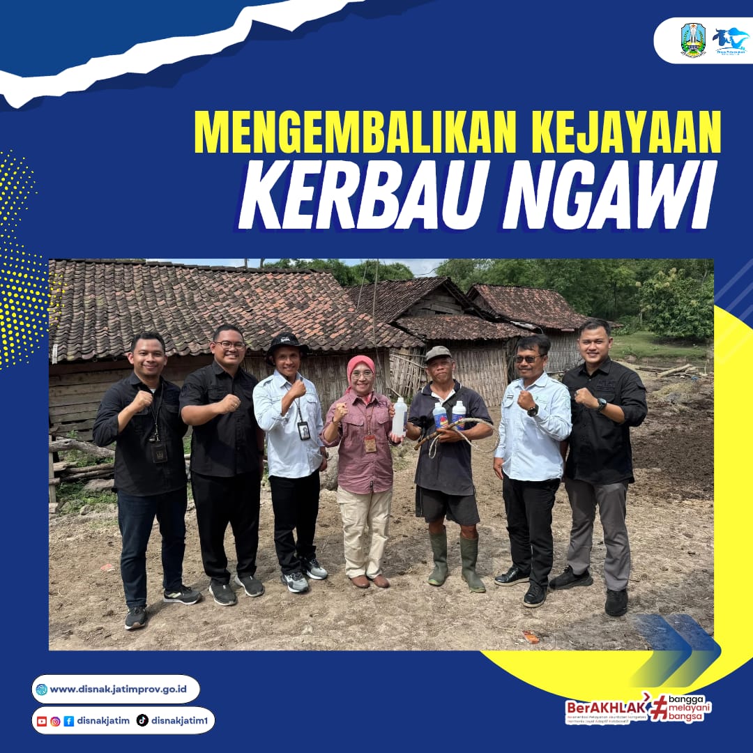 Kerbau ngawi