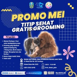 promo rsh mei 2025