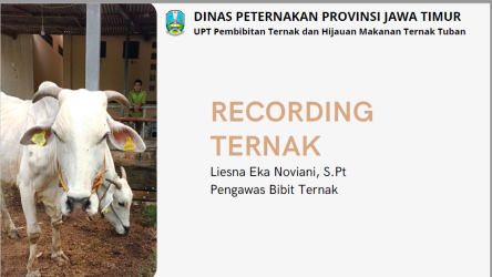 Panduan Recording Ternak