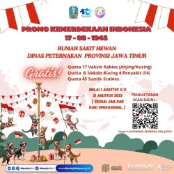 promo rsh agustus 2025
