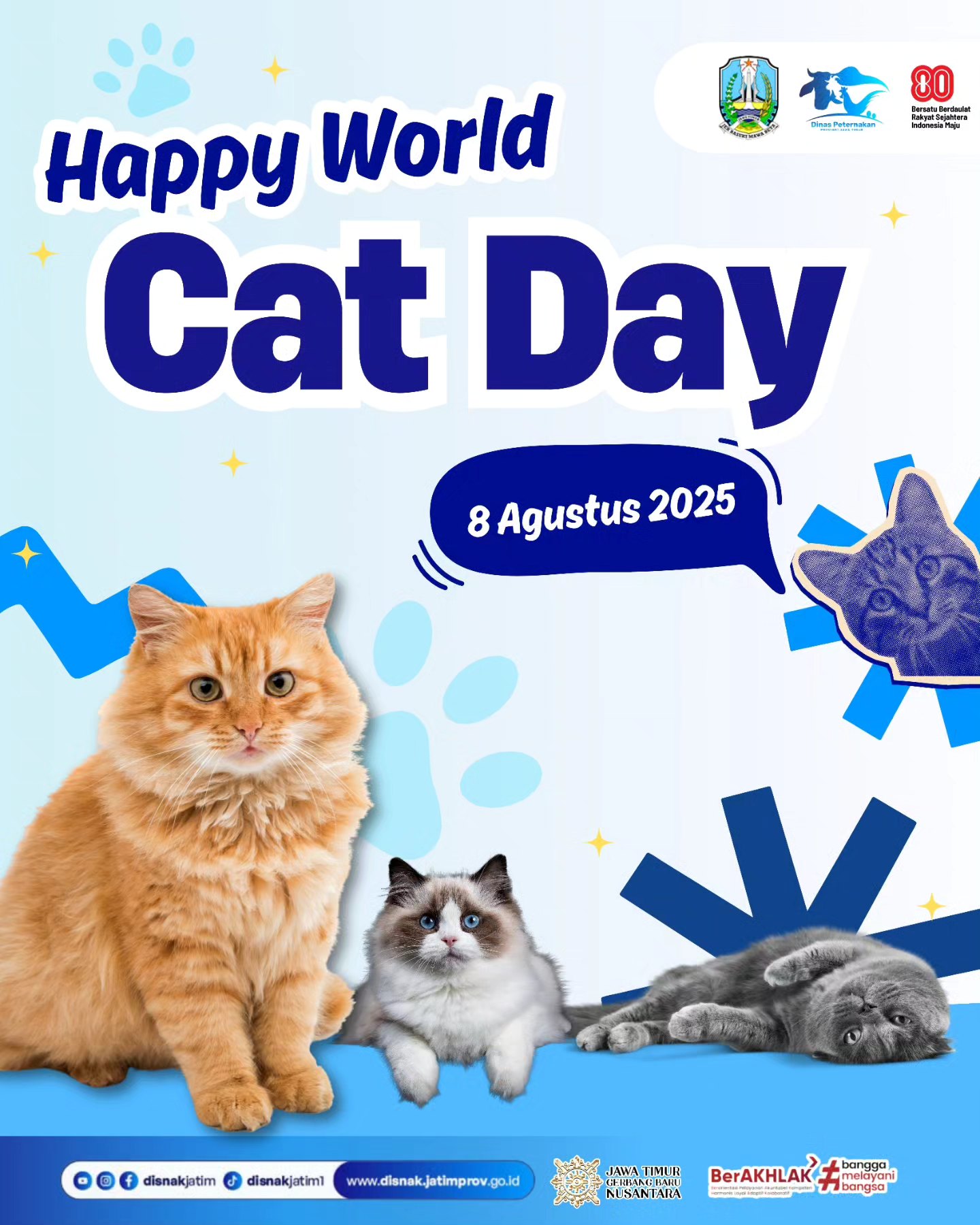 Happy International Cat Day! Selamat merayakan hari anabul sedunia