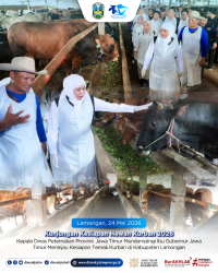 Kunjungan Kesiapan Hewan Kurban 2026