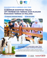 GUBERNUR KHOFIFAH TINJAU UPT PEMBIBITAN TERNAK DAN HIJAUAN MAKANAN TERNAK DI MALANG