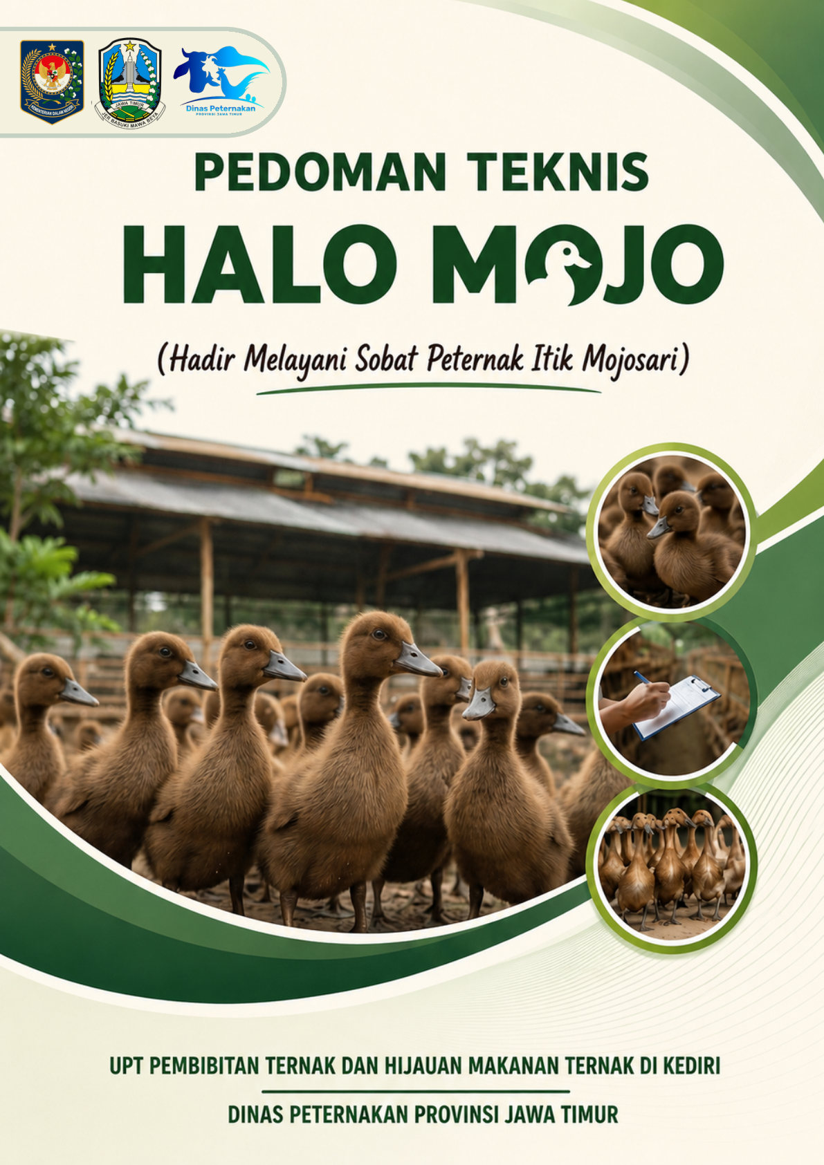 Pedoman Teknis HALO MOJO