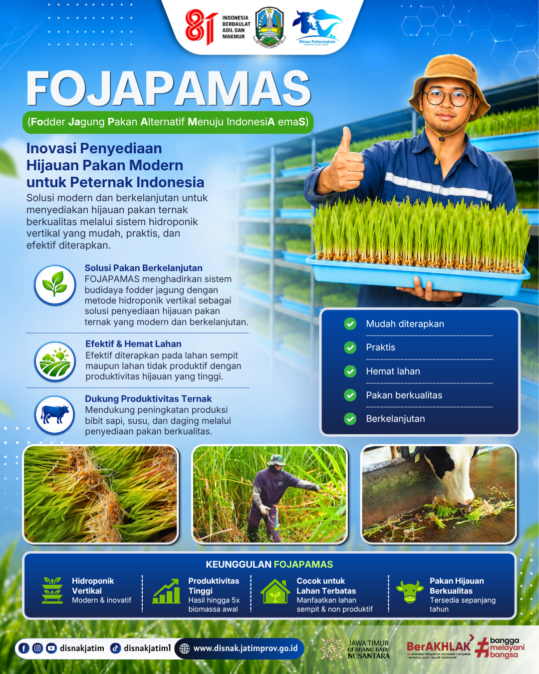 FOJAPAMAS