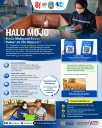 HALO MOJO